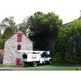 Jacob's Professional Tree &Shrub Care - Tree Services in Bethlehem