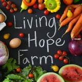 Living Hope Farm - Other in Harleysville