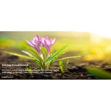 TL Health - Marketing in Collegeville