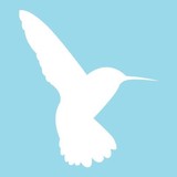 Cli Transport-Carlisle - Other in Carlisle