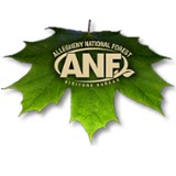 Allegheny National Forest Bur - Other in Bradford