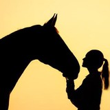 Equestrian International - Other in New Holland