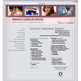 Berkowitz Counseling Serv - Counseling & Mental Health in Allentown