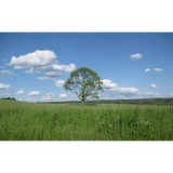 Polk Twp Municipal Building - Other in Brookville