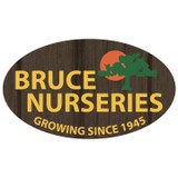 Bruce Nursery At Davidsville - Other in Davidsville