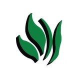 Baldassari Landscaping Inc - Other in Collegeville