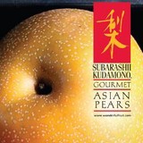 Subarashii Kudamono Co Inc - Other in Coopersburg