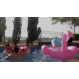 My Pool Guy, LLC. - Other in Gilbertsville