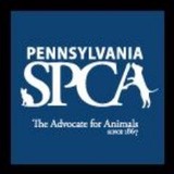Penna Spca - Other in Danville