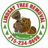 Lindsay's Tree Removal - Other in Harleysville