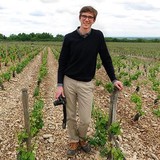 Ansonia Wines - Wholesale in Philadelphia
