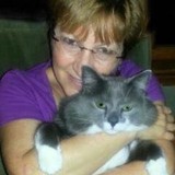 Deborah Nyman - Other in Harleysville