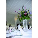Big Top Rentals - Other in Pittston