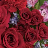 All Occasion Florist LLC - Florists in Chambersburg