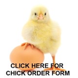 Umberger's of Fontana Inc - Other in Annville