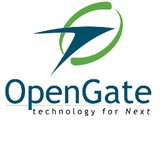 Opengate Consulting - Business Consulting in King of Prussia
