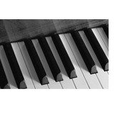 DiGiorgi Piano Service - Other in New Castle