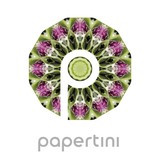 Papertini - Florists in Philadelphia