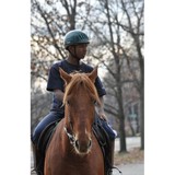 Chamounix Equestrian Center - Wholesale in Philadelphia