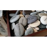 K & S Wedding  Videos/Photography - Other in Lansdale