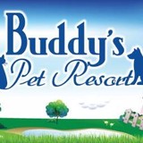 Happy Hounds Daycare - Other in Manheim