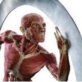 Body World Fitness - Gyms in Philadelphia