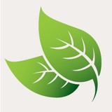 Coldtree Creative LLC - Other in Lebanon