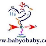 Babyobaby.com - Other in Shohola