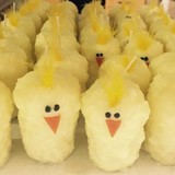 Star Hollow Candle CO - Other in Vicksburg