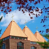 Sisters of St Basil the Great - Other in Jenkintown