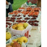 Elmwood Market - Grocery/Supermarket in Philadelphia