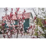 Quiet Creek Herb Farm - Other in Brookville