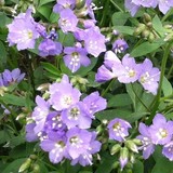 Secluded Gardens Landscape Design Company - Landscape Architects in Schwenksville
