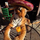 Cantina - Mexican in Philadelphia