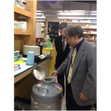 Seize The Ribbon - Other in Ligonier