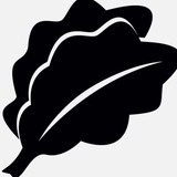 Lifestyle Foods - Manufacturer in York
