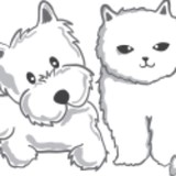 Just For Pets - Pet Groomers in York