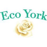 E C O York LLC - Software Development in York
