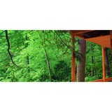 Tina Pineiro Hypnosis - Other in Honesdale