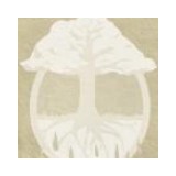 Earth's Essence - Other in Felton