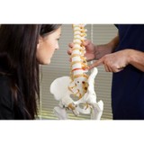 Nunn Lydell DC - Chiropractors in York