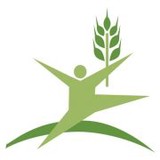 York County Food Bank - Other in York