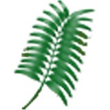 Blue Sky Lawn & Landscape - Lawn Services in Carrollton