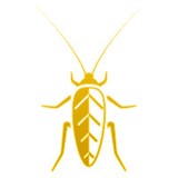 Homeshield Pest Control - Pest Control in Plano
