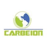 Carbeion LLC - Business Consulting in Irving