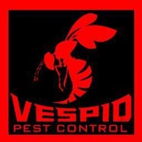 Vespid Pest Control - Pest Control in San Antonio