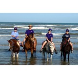 Unbridled Spirit LLC - Other in Bulverde