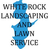 White Rock Grass - Landscape Architects in Dallas