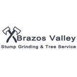 Brazos Valley Stump Grinding - Tree Services in Bryan