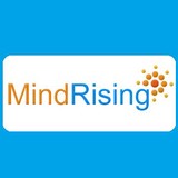 Mindrising Inc - Software Development in Irving